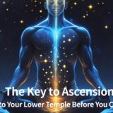 The Human Body Was a Temple ⑤: The Lower Temple - Where the Resonance of "Sex and Sacred" Ignites the Engine of Life and Creation