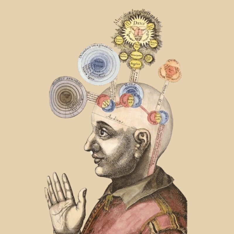 名称未設定 (800 x 800 px)